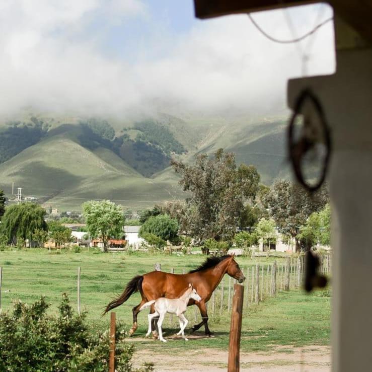 Entre Montanas Daire Tafí del Valle Dış mekan fotoğraf