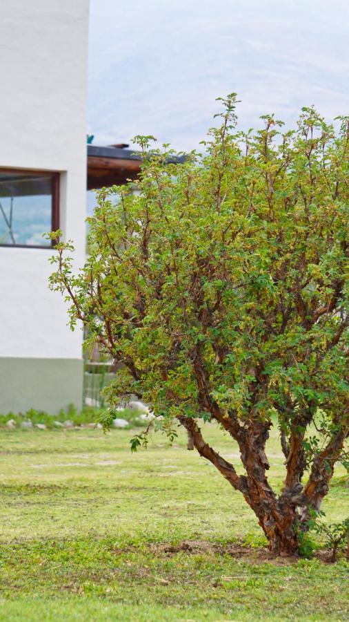 Entre Montanas Daire Tafí del Valle Dış mekan fotoğraf